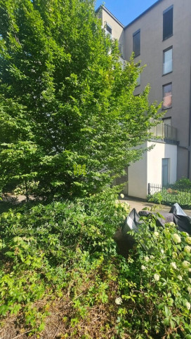 Mieszkanie Wynajem Poznań Poznań-Stare Miasto Chwaliszewo 7
